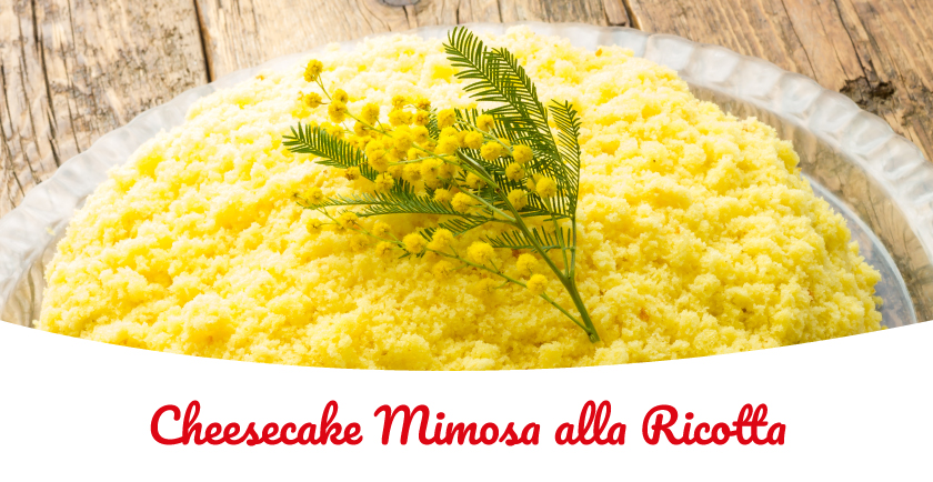 cheesecake alla ricotta torta mimosa